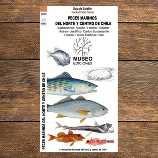 Guia Peces Marinos Del Norte Y Centro De Chile