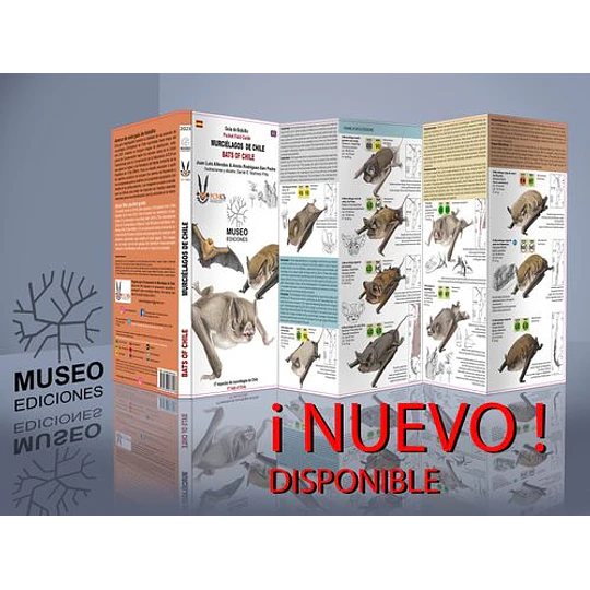 Murciélagos De Chile