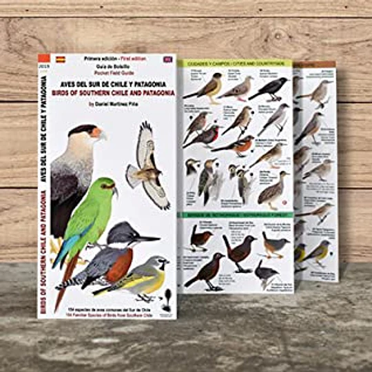 Aves Del Sur De Chile Y Patagonia
