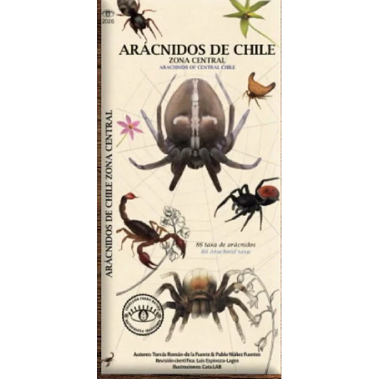 Aracnidos De Chile. Zona Central