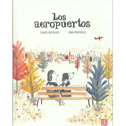 Aeropuertos, Los