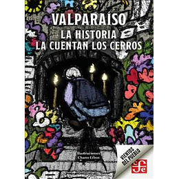 Valparaiso La Historia La Cuentan Los Cerros