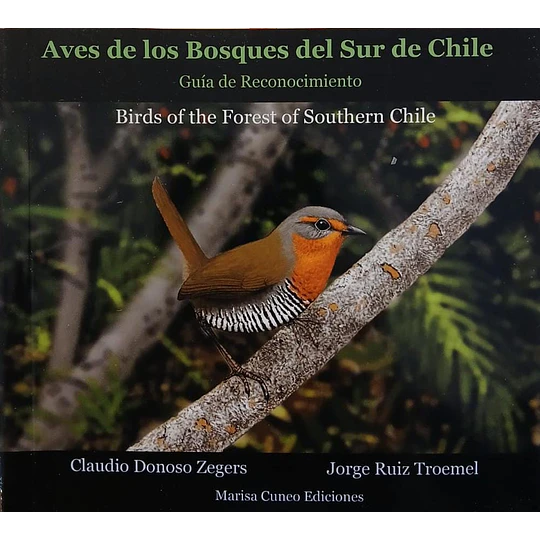 Aves De Los Bosques Del Sur De Chile