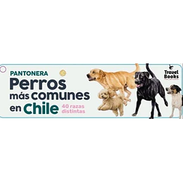 Pantonera Perros Mas Comunes En Chile
