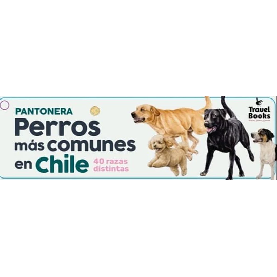 Pantonera Perros Mas Comunes En Chile
