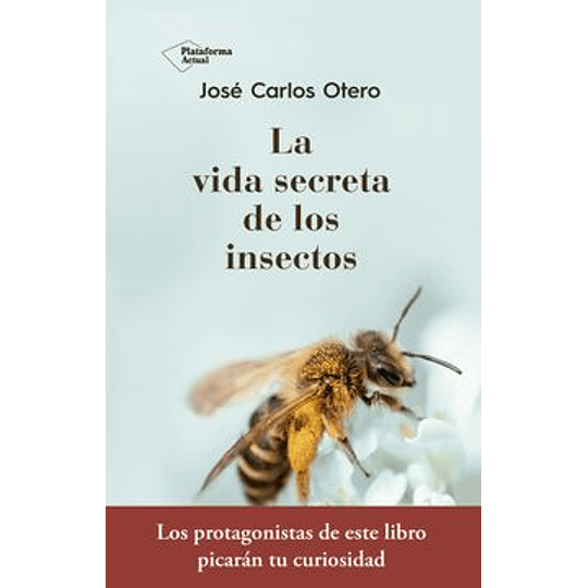 La Vida Secreta De Los Insectos