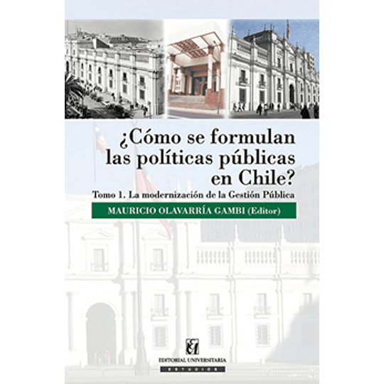 Como Se Formulan Las Politicas Publicas En Chile