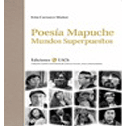 Poesia Mapuche Mundos Superpuestos