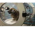 CAMARA HIPERBARICA PET ANIMALES MASCOTAS