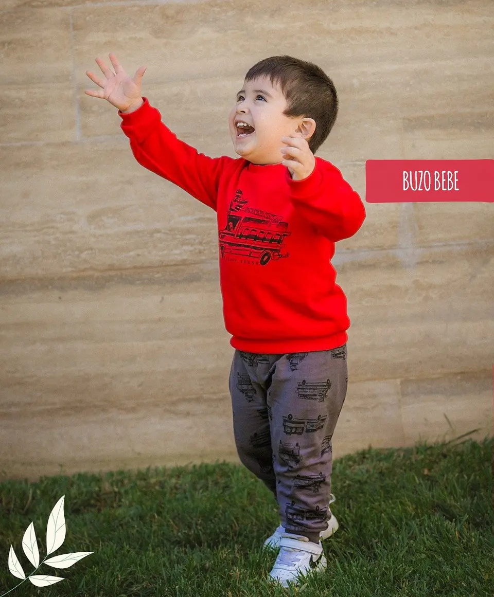Pack Buzo Nino 24 meses 3
