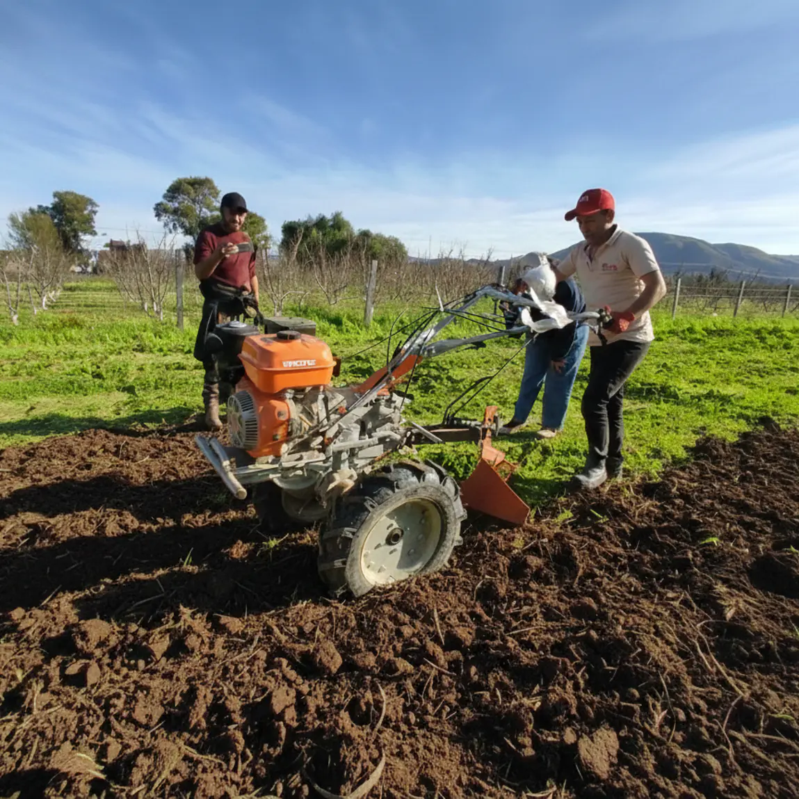 Motocultivador bencinero 12 hp + 4 implementos 4