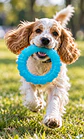 Argolla Mordedora con Textura para Perros – Azul 🐶 - Miniatura 2