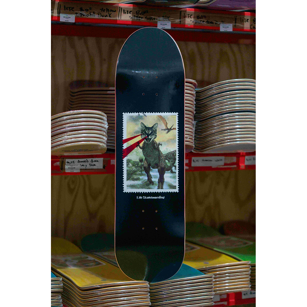 Tabla Life Dinocat black Cruiser 8.75" + Lija Blank