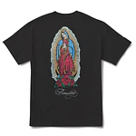 Polera Primitive Spring26 - Mission HW