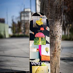 Tabla Wisdom - Collage Shaped 8.75" + Lija Blank