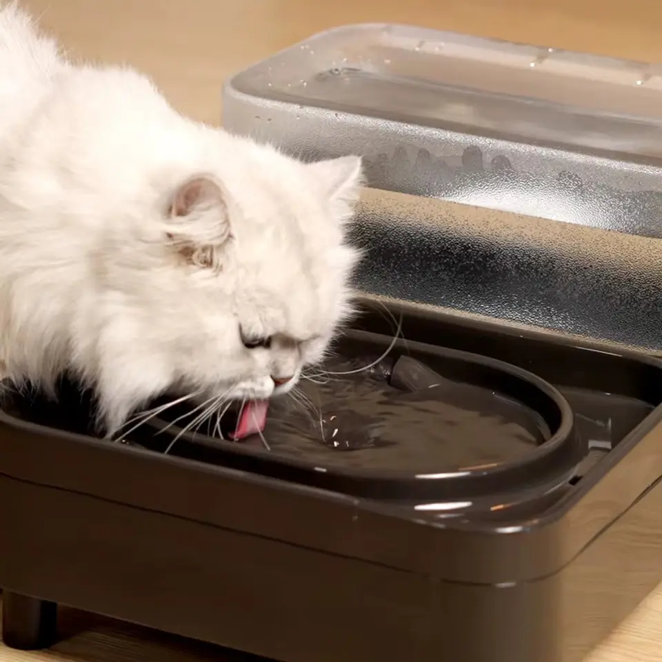 Bebedero Fuente Dispensador Automático De Agua Mascota 8L 4