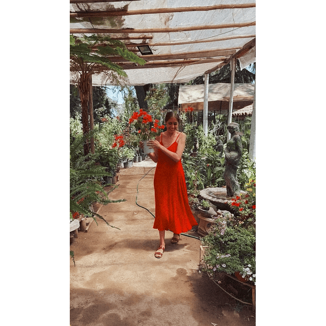 Vestido Leontina rojo