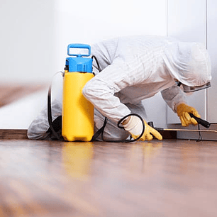 Fumigación para Casas (Sin Jardín) – Control de Plagas Rastreras