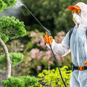 Fumigación de Jardín – Control de Plagas Rastreras