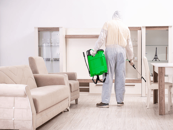 Fumigación para Departamentos (Control de Plagas Rastreras) 1