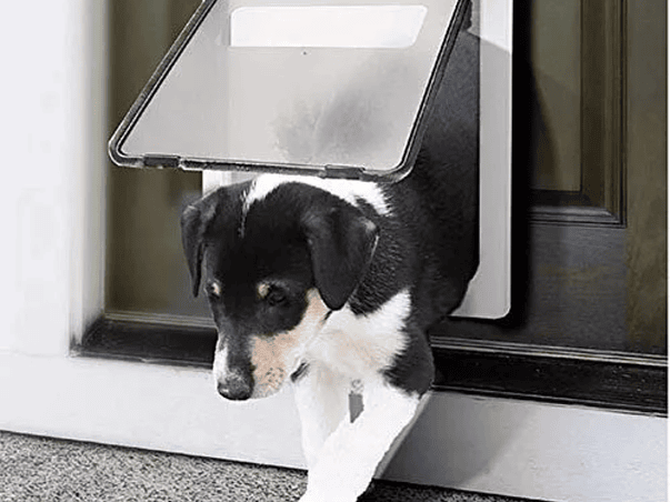 Instalación de Puerta Abatible para Perros o Gatos 1