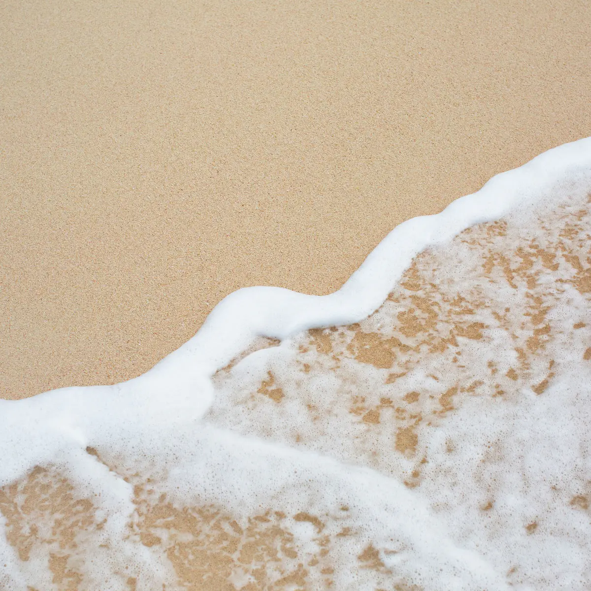 Regulación emocional y mental