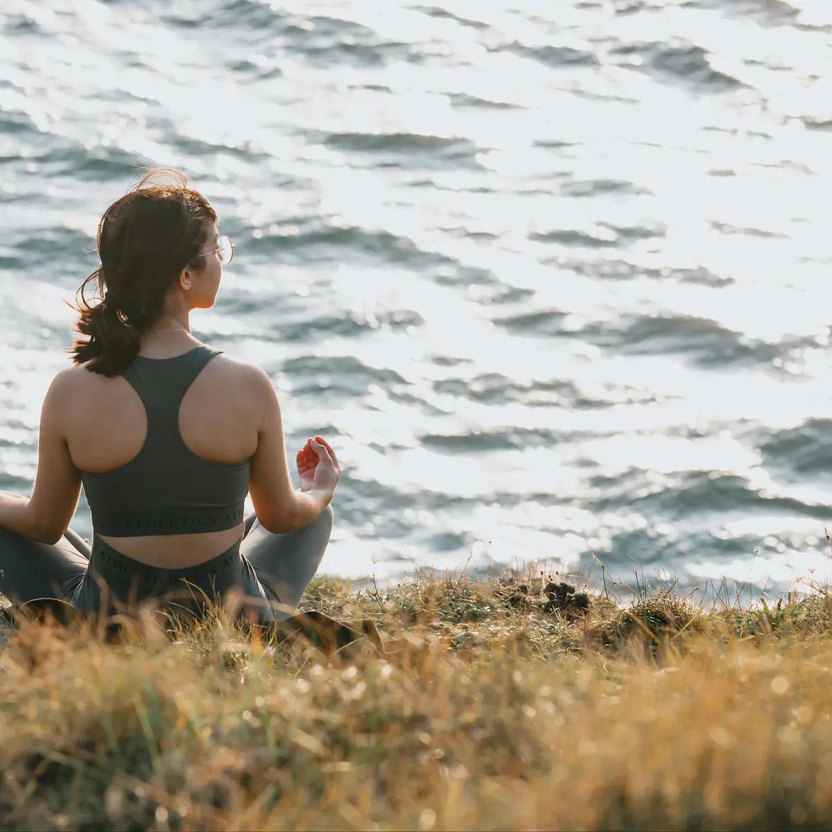 Movimiento y regulación somática