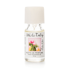 Essência de White Tulip