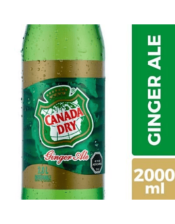 CANADA DRY GINGER ALE 2L