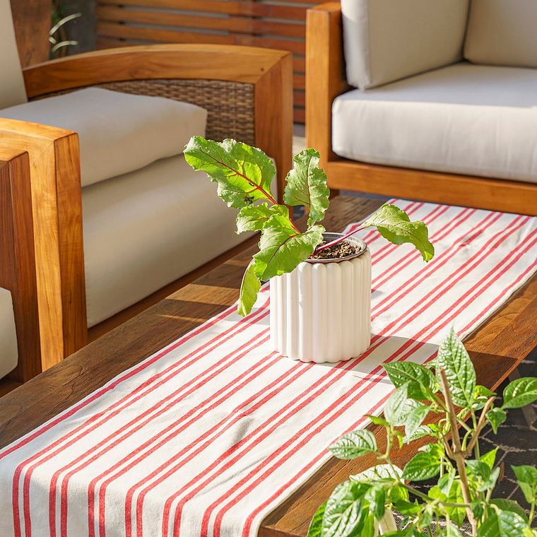 Camino de Mesa Margarita 1