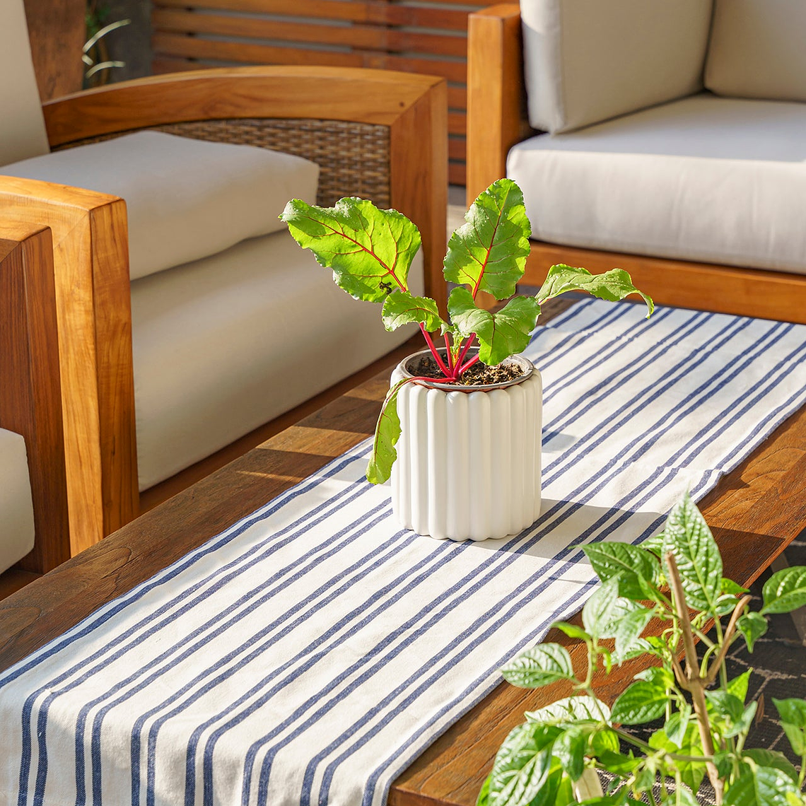 Camino de Mesa Margarita 3