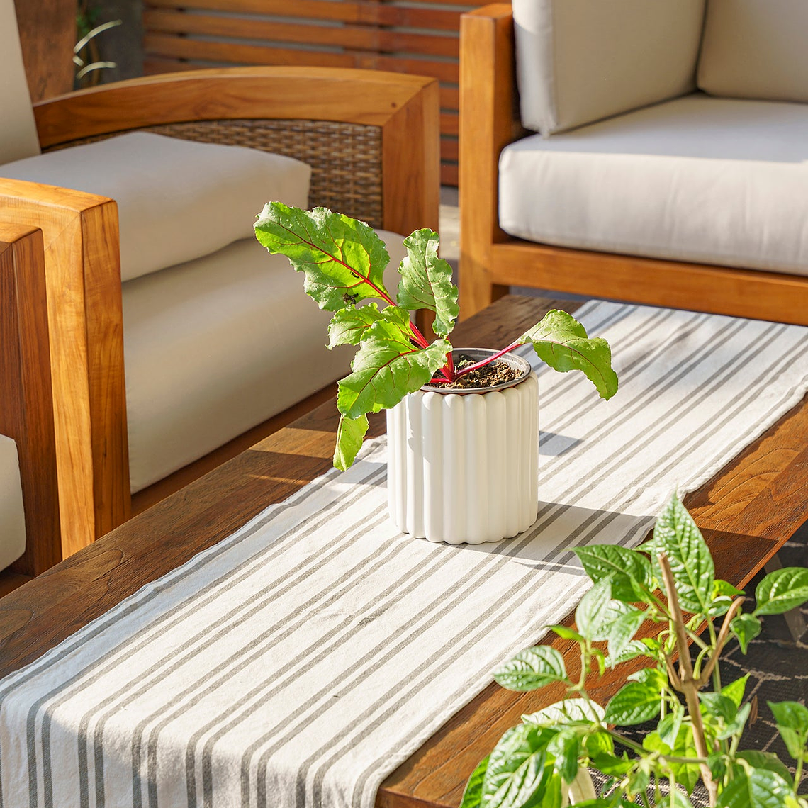 Camino de Mesa Margarita 4