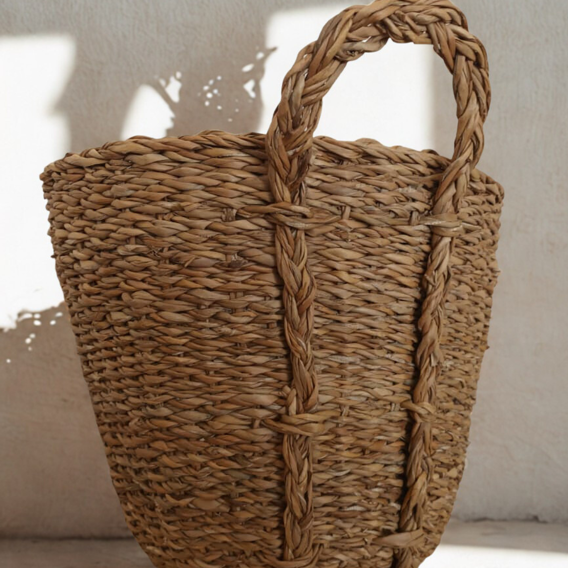 Canasta Olivo 1