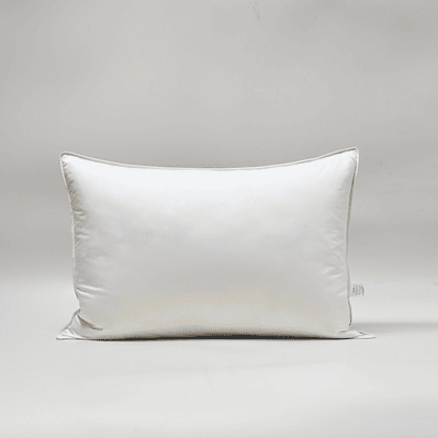 Almohada de Pluma de Ganso 50x70cm