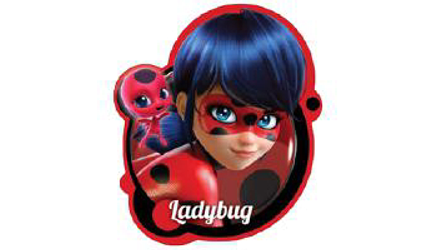 Almofada lady bug 36x36cm 3d ref.610092 1