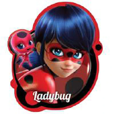 Almofada Lady Bug 36x36cm 3D ref.610092