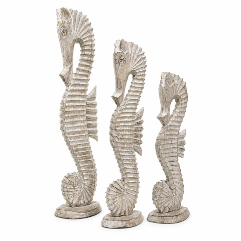 Set caballos de mar