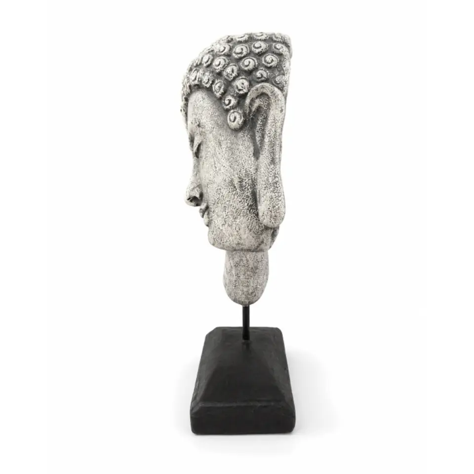 Testa Buda  equilibrio 3