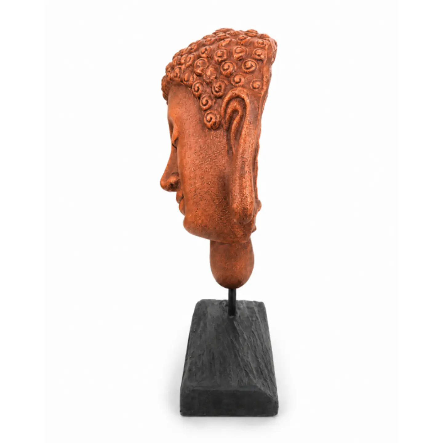 Testa Buda  equilibrio 2