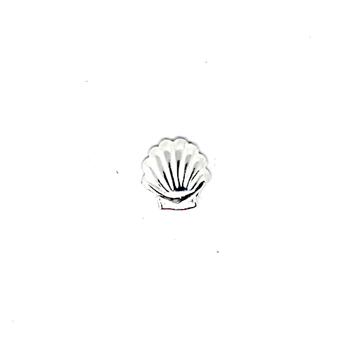 Shell Stud Earring