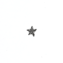 Starfish Stud Earring