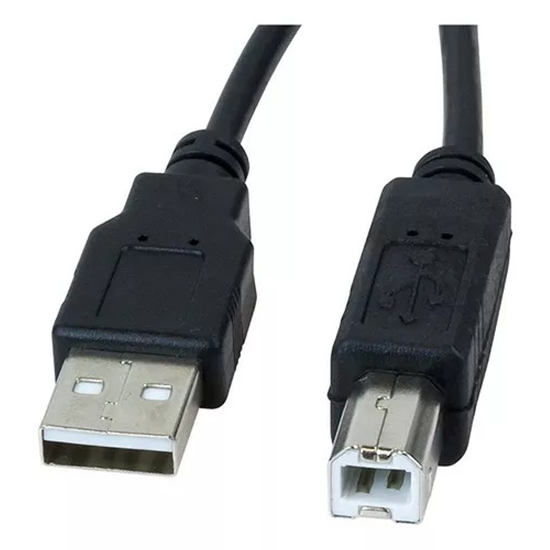Cable Xtech XTC-307 de USB 2.0 A-macho a B-macho 2