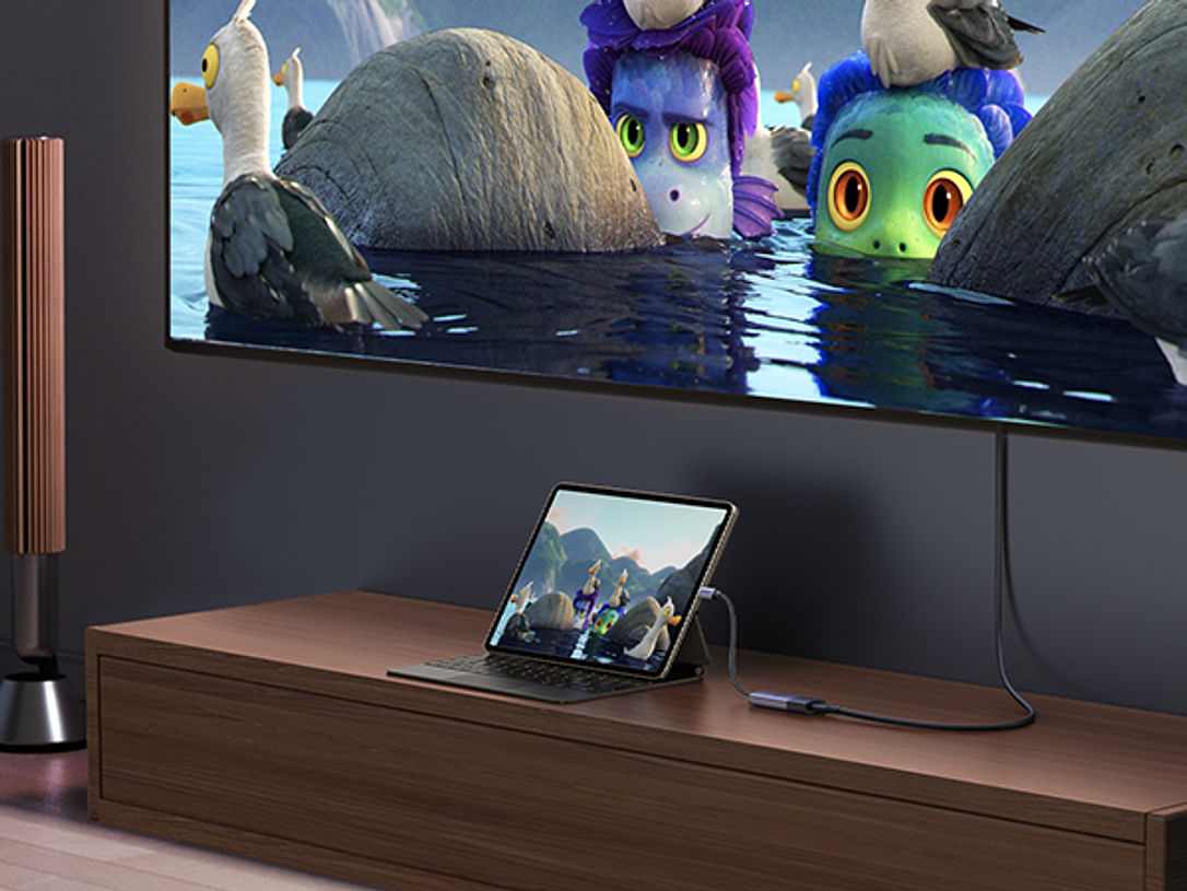 Cables y Adaptadores de Video