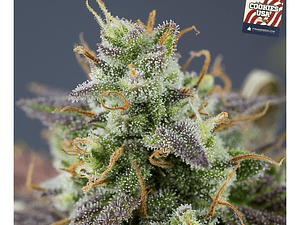 Cookies USA Automática Pyramid Seeds (x3+1)