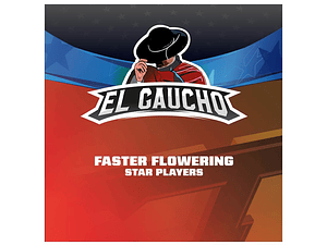 El Gaucho Faster Feminizada BSF Seeds (x2 - x4 - x7 - x12)