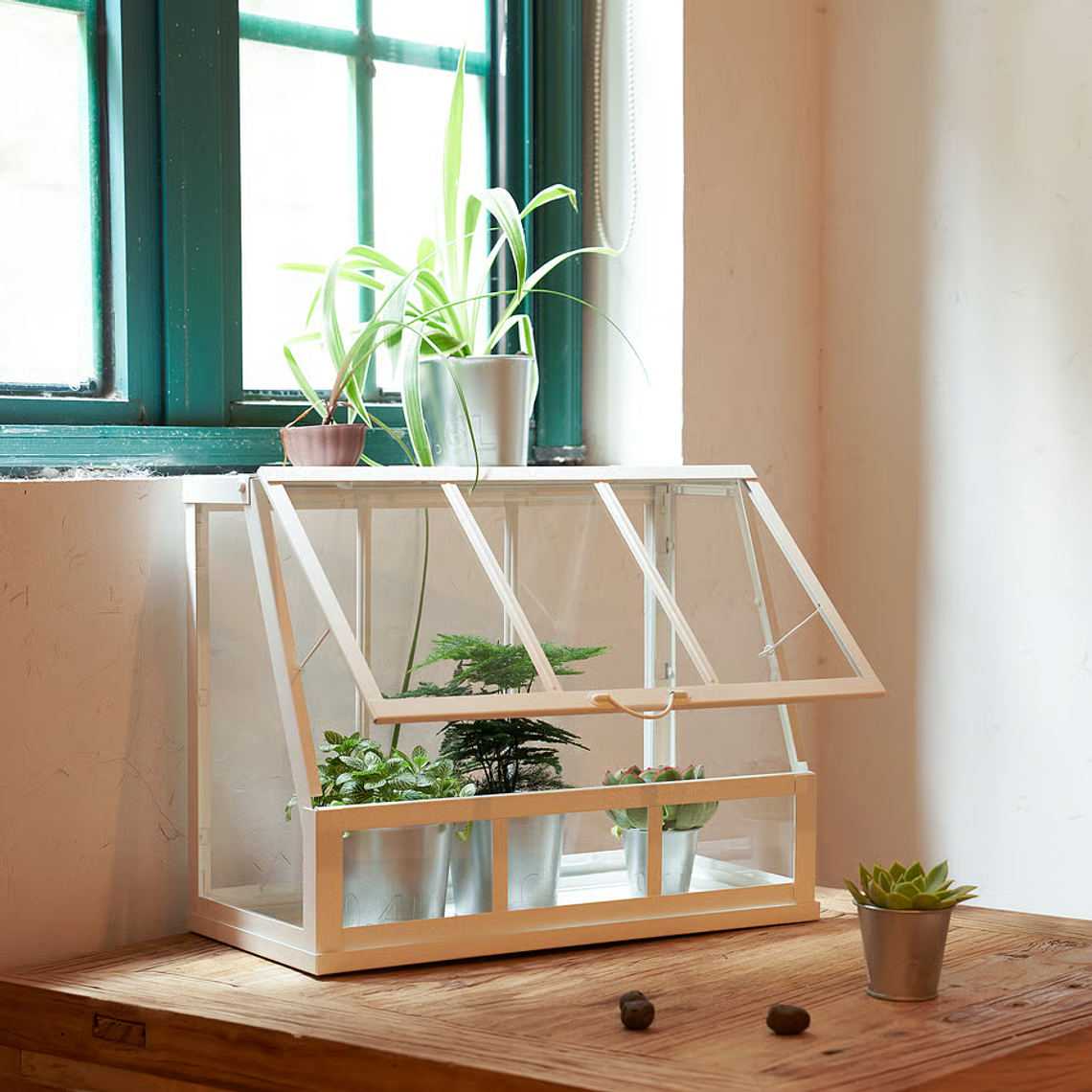 Invernadero Blanco Mini Propagador Åkerbär (47x25 cm) 1