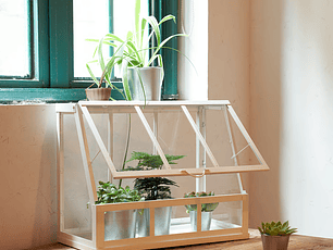 Invernadero Blanco Mini Propagador Åkerbär (47x25 cm)