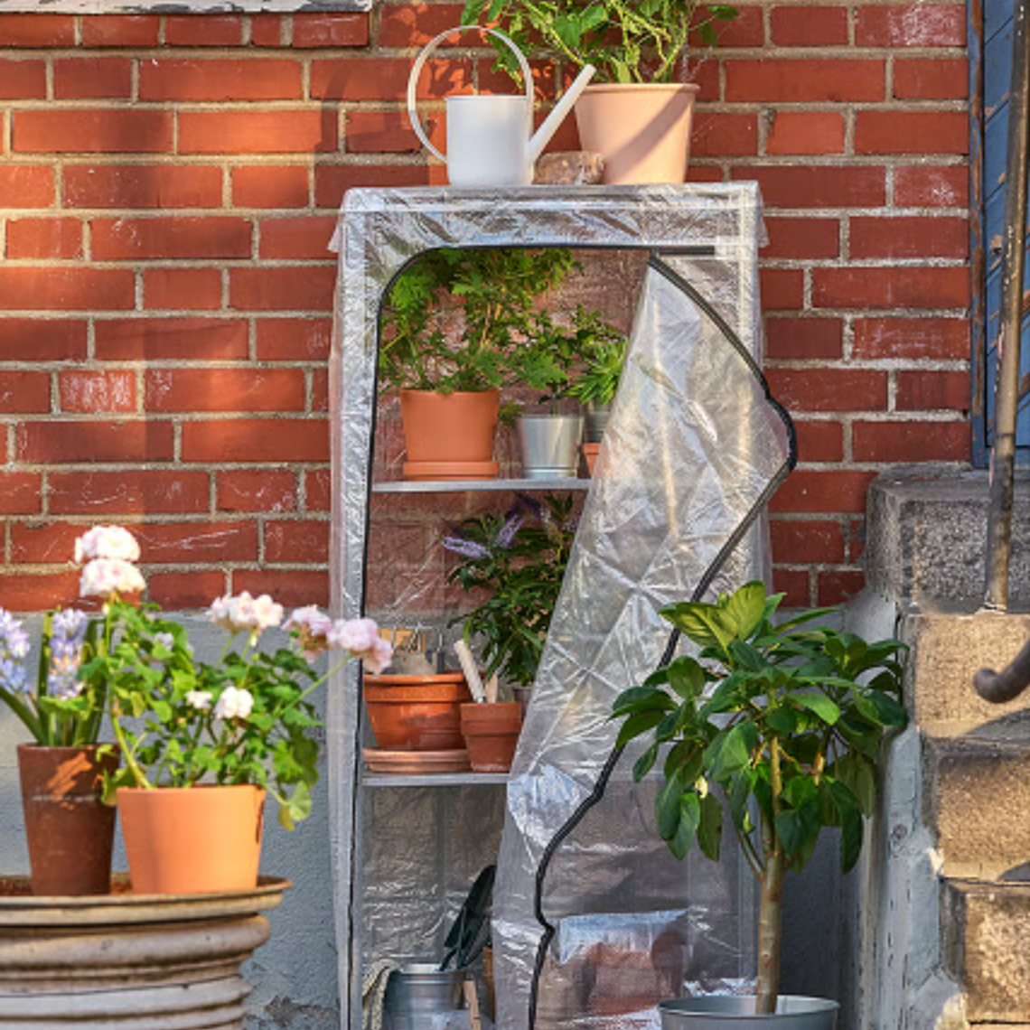 Armario Invernadero Cultivo HYLLIS + Funda Transparente Impermeable 5