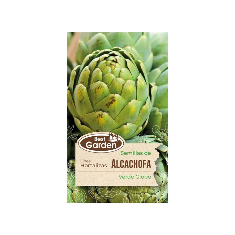 Alcachofa Hortaliza Premium Best Garden (2 gr) 1