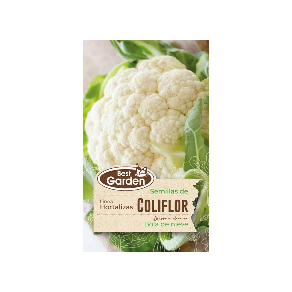 Coliflor Hortaliza Invierno Best Garden (3 gr) 1